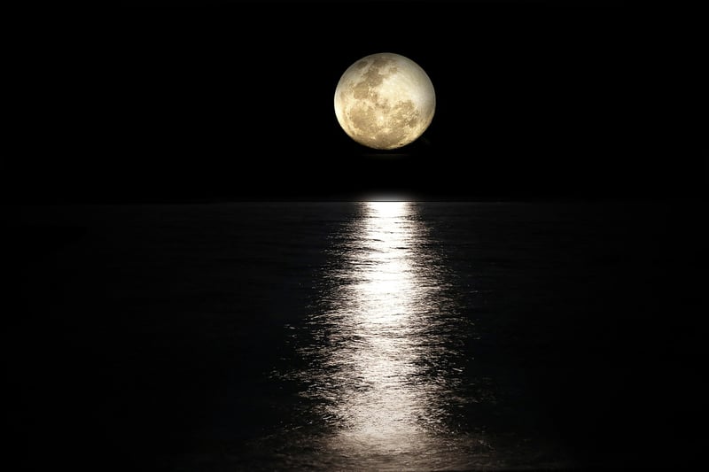 Moonlit Romance